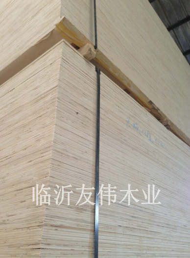 異形托盤(pán)板不可貌相，發(fā)展前景不可限量